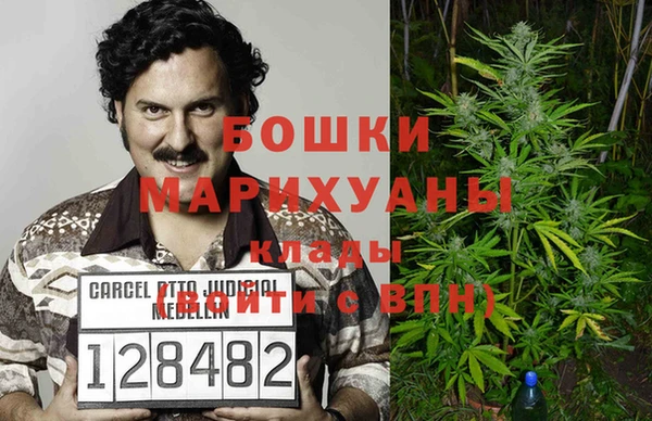 соль ск Гусиноозёрск