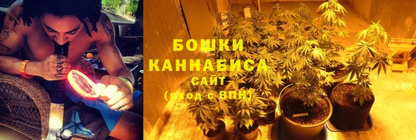 соль ск Гусиноозёрск