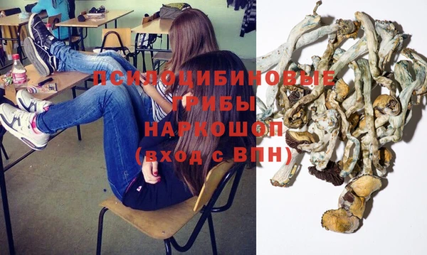 соль ск Гусев