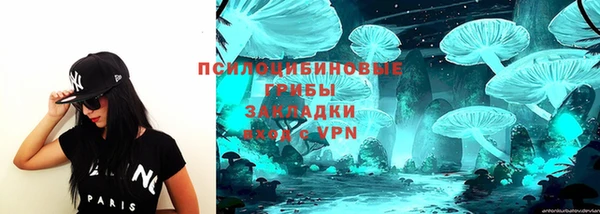 соль ск Гусев