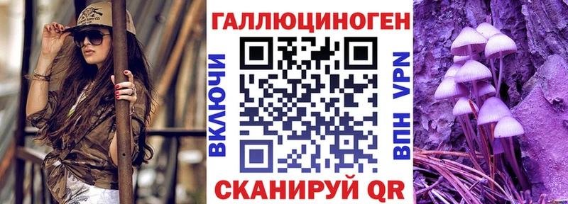 Купить  Сычёвка  Псилоцибиновые грибы Psilocybine cubensis 